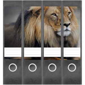 Etiketten für Ordner | Löwe 2 | 4 breite Aufkleber für Ordnerrücken | Selbstklebende Design Ordneretiketten Rückenschilder