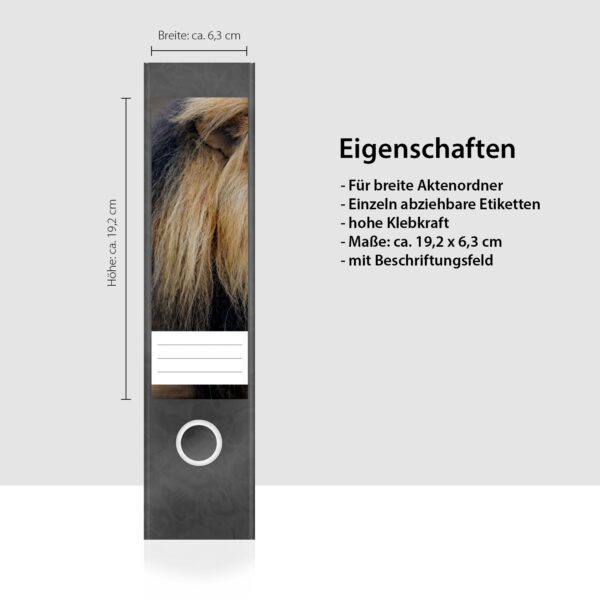 Etiketten für Ordner | Löwe 2 | 4 breite Aufkleber für Ordnerrücken | Selbstklebende Design Ordneretiketten Rückenschilder