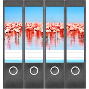 Etiketten für Ordner | Flamingos | 4 breite Aufkleber für Ordnerrücken | Selbstklebende Design Ordneretiketten Rückenschilder