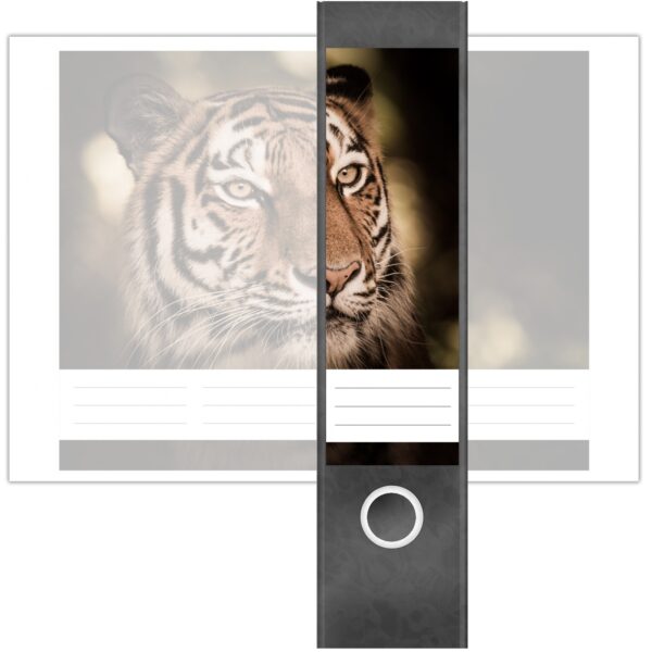 Etiketten für Ordner | Tiger | 4 breite Aufkleber für Ordnerrücken | Selbstklebende Design Ordneretiketten Rückenschilder