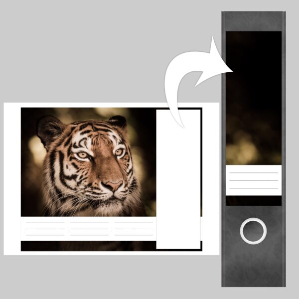 Etiketten für Ordner | Tiger | 4 breite Aufkleber für Ordnerrücken | Selbstklebende Design Ordneretiketten Rückenschilder