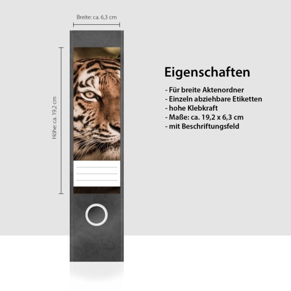 Etiketten für Ordner | Tiger | 4 breite Aufkleber für Ordnerrücken | Selbstklebende Design Ordneretiketten Rückenschilder