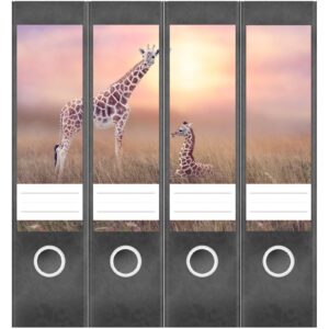 Etiketten für Ordner | Giraffen | 4 breite Aufkleber für Ordnerrücken | Selbstklebende Design Ordneretiketten Rückenschilder