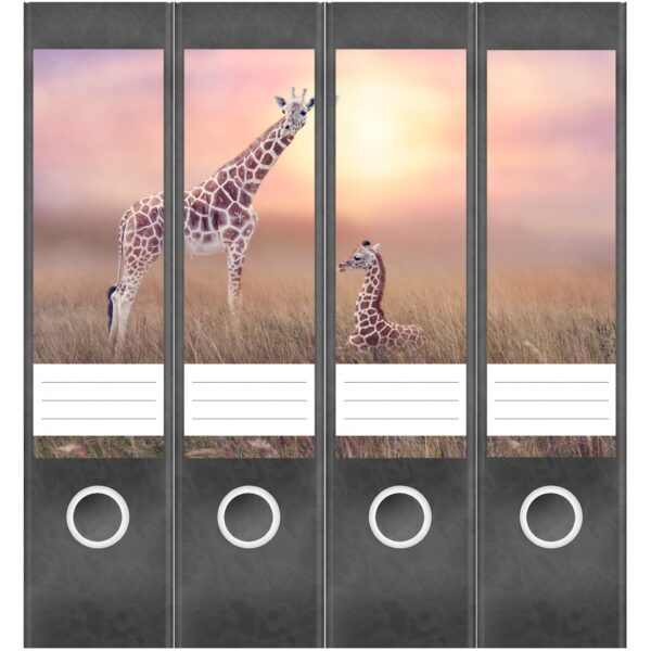 Etiketten für Ordner | Giraffen | 4 breite Aufkleber für Ordnerrücken | Selbstklebende Design Ordneretiketten Rückenschilder