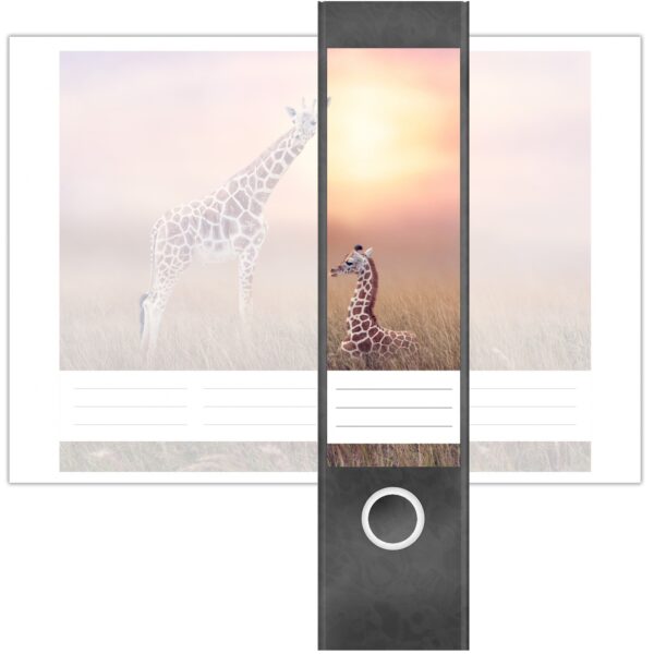 Etiketten für Ordner | Giraffen | 4 breite Aufkleber für Ordnerrücken | Selbstklebende Design Ordneretiketten Rückenschilder