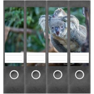 Etiketten für Ordner | Koalabär im Baum | 4 breite Aufkleber für Ordnerrücken | Selbstklebende Design Ordneretiketten Rückenschilder