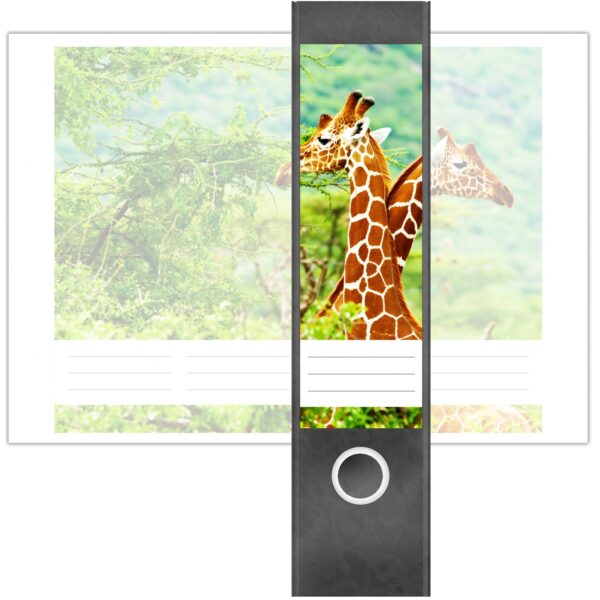 Etiketten für Ordner | 2 Giraffen im Wald | 4 breite Aufkleber für Ordnerrücken | Selbstklebende Design Ordneretiketten Rückenschilder