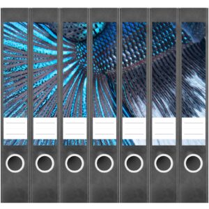 Etiketten für Ordner | Fisch Flosse 2 | 7 Aufkleber für schmale Ordnerrücken | Selbstklebende Design Ordneretiketten Rückenschilder