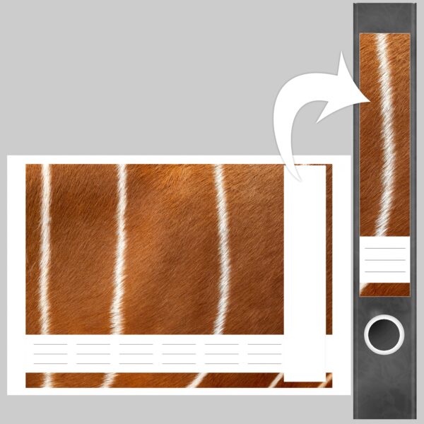 Etiketten für Ordner | Tier Fell Gazelle | 7 Aufkleber für schmale Ordnerrücken | Selbstklebende Design Ordneretiketten Rückenschilder