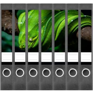 Etiketten für Ordner | Grüne Schlange | 7 Aufkleber für schmale Ordnerrücken | Selbstklebende Design Ordneretiketten Rückenschilder