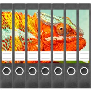 Etiketten für Ordner | Chamäleon 4 | 7 Aufkleber für schmale Ordnerrücken | Selbstklebende Design Ordneretiketten Rückenschilder