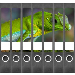 Etiketten für Ordner | Chamäleon 5 | 7 Aufkleber für schmale Ordnerrücken | Selbstklebende Design Ordneretiketten Rückenschilder