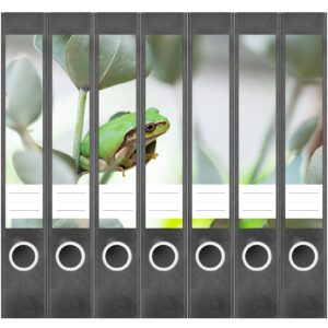 Etiketten für Ordner | Grüner Frosch | 7 Aufkleber für schmale Ordnerrücken | Selbstklebende Design Ordneretiketten Rückenschilder