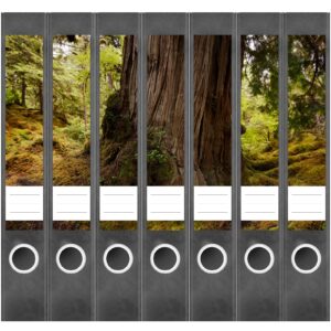 Etiketten für Ordner | Baum | 7 Aufkleber für schmale Ordnerrücken | Selbstklebende Design Ordneretiketten Rückenschilder