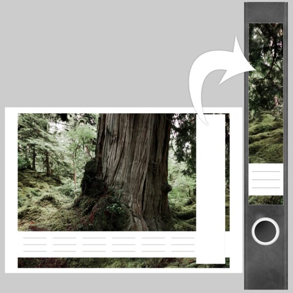 Etiketten für Ordner | Mytischer Baum | 7 Aufkleber für schmale Ordnerrücken | Selbstklebende Design Ordneretiketten Rückenschilder