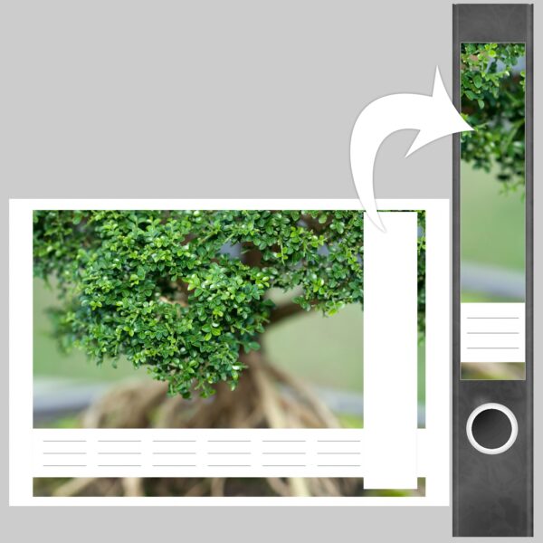 Etiketten für Ordner | Bonsai | 7 Aufkleber für schmale Ordnerrücken | Selbstklebende Design Ordneretiketten Rückenschilder