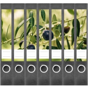 Etiketten für Ordner | Olivenbaum 2 | 7 Aufkleber für schmale Ordnerrücken | Selbstklebende Design Ordneretiketten Rückenschilder
