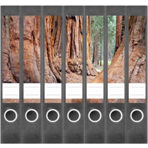 Etiketten für Ordner | Beeindruckende Bäume | 7 Aufkleber für schmale Ordnerrücken | Selbstklebende Design Ordneretiketten Rückenschilder