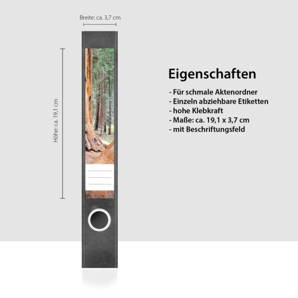 Etiketten für Ordner | Beeindruckende Bäume | 7 Aufkleber für schmale Ordnerrücken | Selbstklebende Design Ordneretiketten Rückenschilder