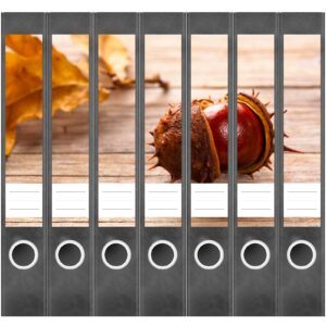 Etiketten für Ordner | Kastanie Herbst | 7 Aufkleber für schmale Ordnerrücken | Selbstklebende Design Ordneretiketten Rückenschilder