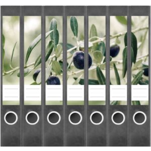 Etiketten für Ordner | Olivenbaum 3 | 7 Aufkleber für schmale Ordnerrücken | Selbstklebende Design Ordneretiketten Rückenschilder