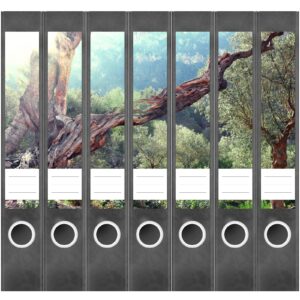 Etiketten für Ordner | Bäume Sonnenstrahlen | 7 Aufkleber für schmale Ordnerrücken | Selbstklebende Design Ordneretiketten Rückenschilder