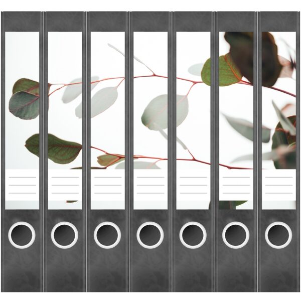 Etiketten für Ordner | Eucalyptus Blätter | 7 Aufkleber für schmale Ordnerrücken | Selbstklebende Design Ordneretiketten Rückenschilder