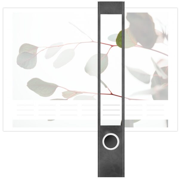Etiketten für Ordner | Eucalyptus Blätter | 7 Aufkleber für schmale Ordnerrücken | Selbstklebende Design Ordneretiketten Rückenschilder