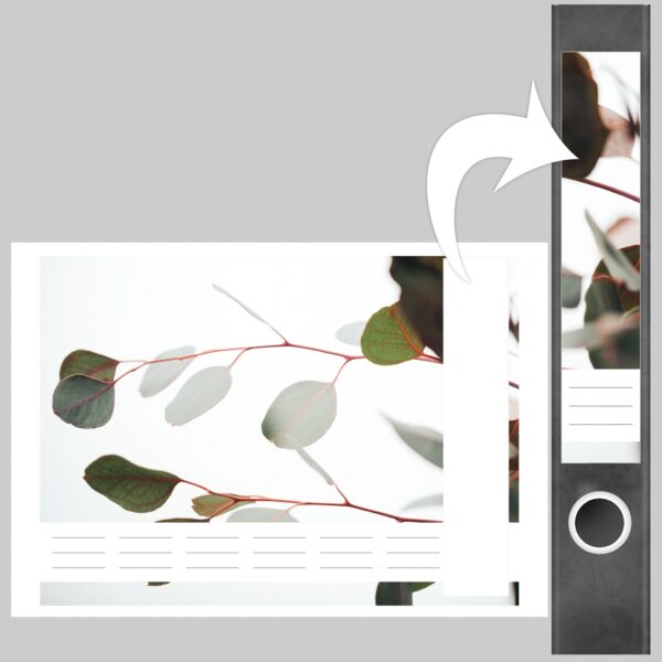 Etiketten für Ordner | Eucalyptus Blätter | 7 Aufkleber für schmale Ordnerrücken | Selbstklebende Design Ordneretiketten Rückenschilder