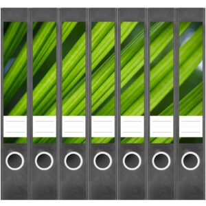 Etiketten für Ordner | Palmen Blätter | 7 Aufkleber für schmale Ordnerrücken | Selbstklebende Design Ordneretiketten Rückenschilder