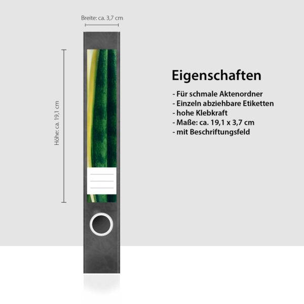 Etiketten für Ordner | Sukkulenten | 7 Aufkleber für schmale Ordnerrücken | Selbstklebende Design Ordneretiketten Rückenschilder