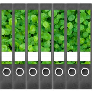 Etiketten für Ordner | Blätter Grün 2 | 7 Aufkleber für schmale Ordnerrücken | Selbstklebende Design Ordneretiketten Rückenschilder