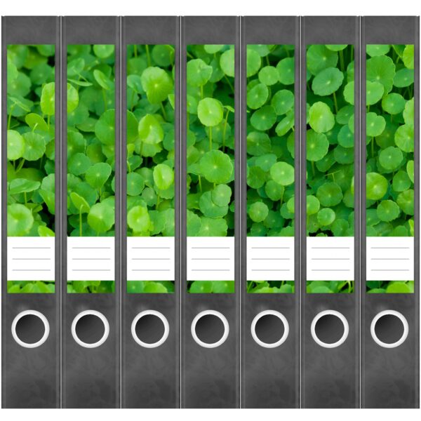 Etiketten für Ordner | Blätter Grün 2 | 7 Aufkleber für schmale Ordnerrücken | Selbstklebende Design Ordneretiketten Rückenschilder