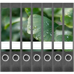 Etiketten für Ordner | Gingko Blätter | 7 Aufkleber für schmale Ordnerrücken | Selbstklebende Design Ordneretiketten Rückenschilder