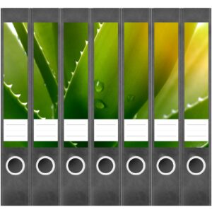 Etiketten für Ordner | Kakteen Grün | 7 Aufkleber für schmale Ordnerrücken | Selbstklebende Design Ordneretiketten Rückenschilder