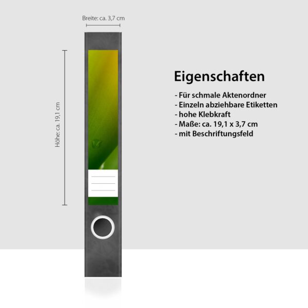 Etiketten für Ordner | Kakteen Grün | 7 Aufkleber für schmale Ordnerrücken | Selbstklebende Design Ordneretiketten Rückenschilder