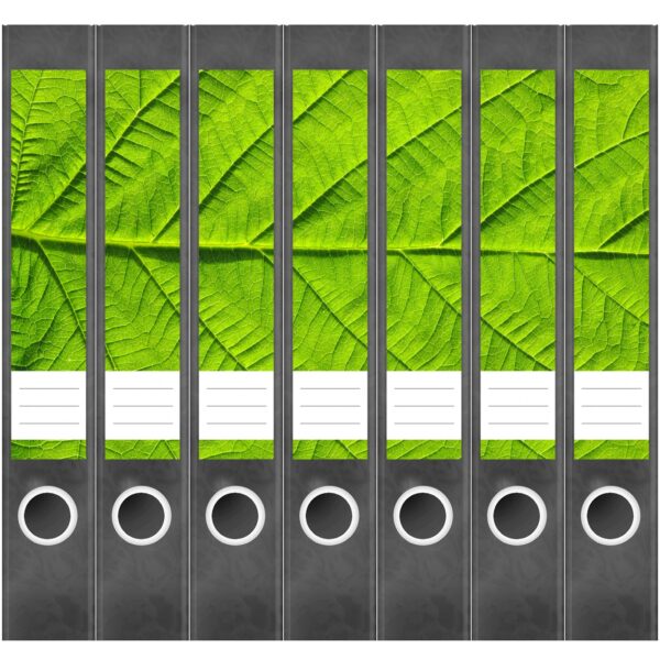 Etiketten für Ordner | Makro Blatt | 7 Aufkleber für schmale Ordnerrücken | Selbstklebende Design Ordneretiketten Rückenschilder