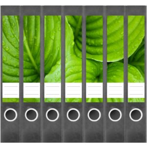 Etiketten für Ordner | Blätter Grün 5 | 7 Aufkleber für schmale Ordnerrücken | Selbstklebende Design Ordneretiketten Rückenschilder