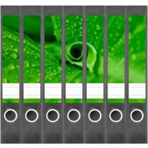 Etiketten für Ordner | Blätter Grün Tropfen | 7 Aufkleber für schmale Ordnerrücken | Selbstklebende Design Ordneretiketten Rückenschilder