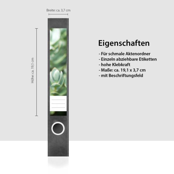 Etiketten für Ordner | Sukkulenten 2 | 7 Aufkleber für schmale Ordnerrücken | Selbstklebende Design Ordneretiketten Rückenschilder