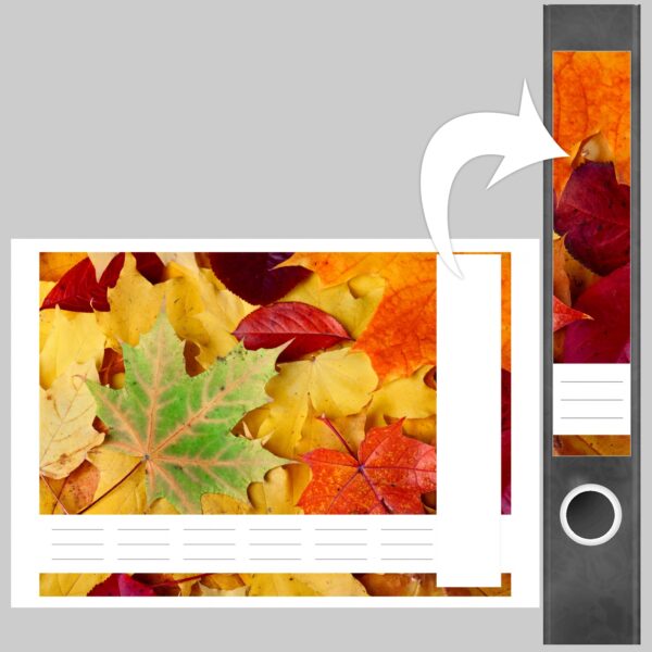 Etiketten für Ordner | Herbst | 7 Aufkleber für schmale Ordnerrücken | Selbstklebende Design Ordneretiketten Rückenschilder