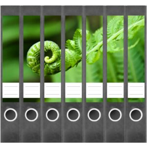 Etiketten für Ordner | Farn Grün | 7 Aufkleber für schmale Ordnerrücken | Selbstklebende Design Ordneretiketten Rückenschilder