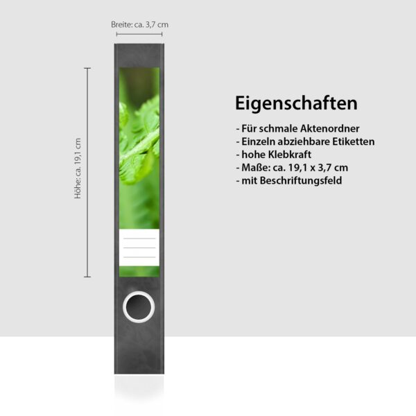 Etiketten für Ordner | Farn Grün | 7 Aufkleber für schmale Ordnerrücken | Selbstklebende Design Ordneretiketten Rückenschilder