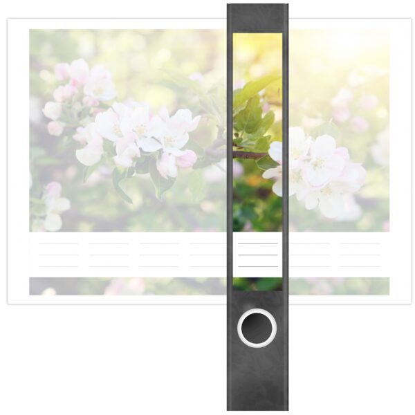 Etiketten für Ordner | Baum Blüte | 7 Aufkleber für schmale Ordnerrücken | Selbstklebende Design Ordneretiketten Rückenschilder