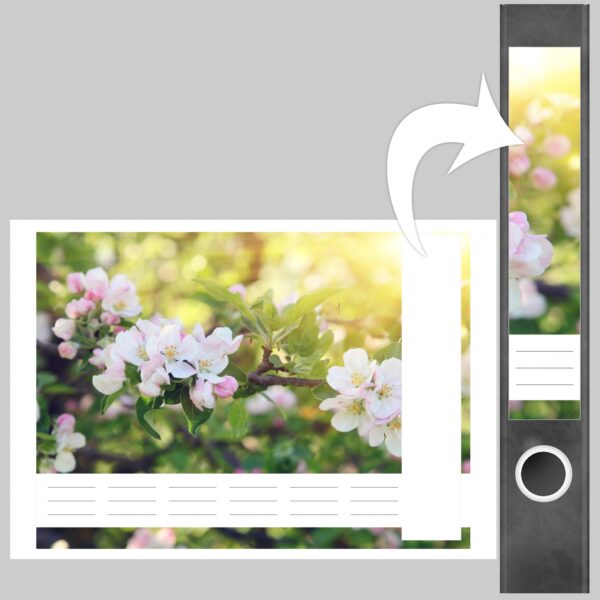 Etiketten für Ordner | Baum Blüte | 7 Aufkleber für schmale Ordnerrücken | Selbstklebende Design Ordneretiketten Rückenschilder