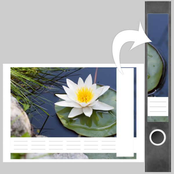 Etiketten für Ordner | Seerose 2 | 7 Aufkleber für schmale Ordnerrücken | Selbstklebende Design Ordneretiketten Rückenschilder