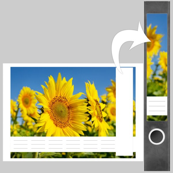 Etiketten für Ordner | Sonnenblumen | 7 Aufkleber für schmale Ordnerrücken | Selbstklebende Design Ordneretiketten Rückenschilder