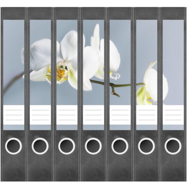 Etiketten für Ordner | Orchidee | 7 Aufkleber für schmale Ordnerrücken | Selbstklebende Design Ordneretiketten Rückenschilder