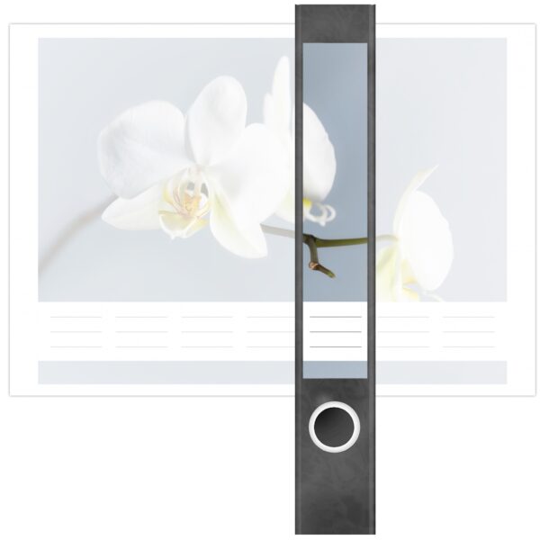 Etiketten für Ordner | Orchidee | 7 Aufkleber für schmale Ordnerrücken | Selbstklebende Design Ordneretiketten Rückenschilder