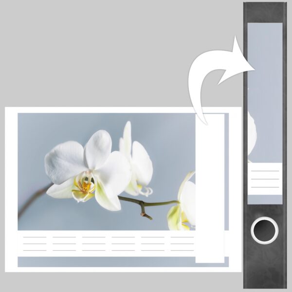 Etiketten für Ordner | Orchidee | 7 Aufkleber für schmale Ordnerrücken | Selbstklebende Design Ordneretiketten Rückenschilder